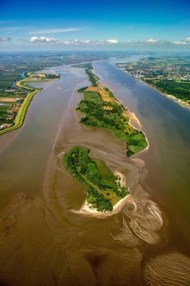 Elbe, tidal flats at low tide on an island in the Elbe near Wedel and Jork, Wedel, Lower Saxony,