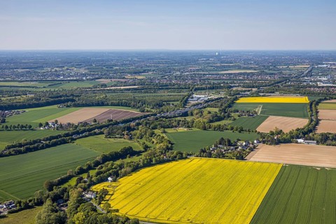 Aerial view, rape fields at the Massener Heide, motorway A1, Unna, Ruhr area, North