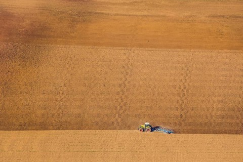 Aerial view, tractor in the field, harvest time, harrowing, Bergheim, Steinheim,