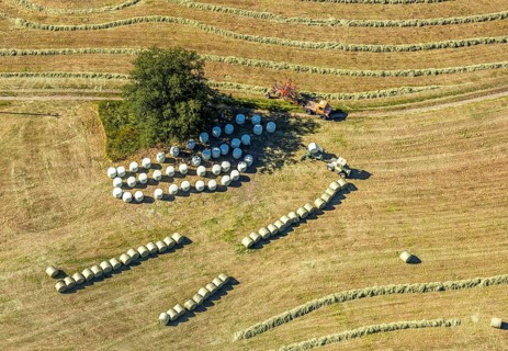 Aerial view, Agricultural area, Farm Auf der Niedergethe, Hiddinghauser Straße, Niedersprockhövel,