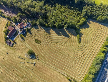 Aerial view, Agricultural area, Farm Auf der Niedergethe, Hiddinghauser Straße, Niedersprockhövel,