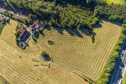 Aerial view, Agricultural area, Farm Auf der Niedergethe, Hiddinghauser Straße, Niedersprockhövel,