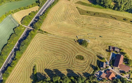 Aerial view, Agricultural area, Farm Auf der Niedergethe, Hiddinghauser Straße, Niedersprockhövel,