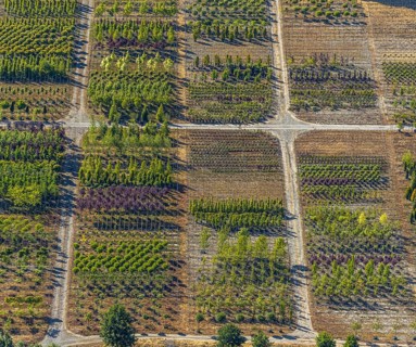 Aerial view, tree plots, tree nursery Wittener Straße 206, Ostholt, Hiddinghausen, Sprockhövel,
