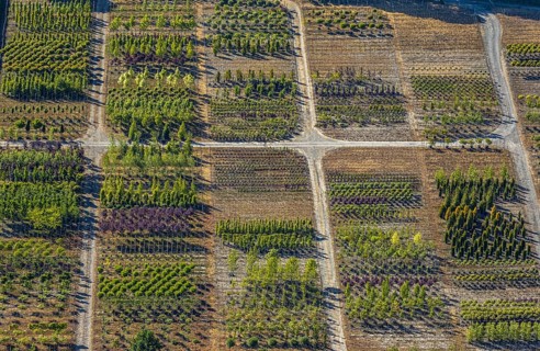 Aerial view, tree plots, tree nursery Wittener Straße 206, Ostholt, Hiddinghausen, Sprockhövel,