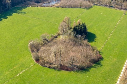 Aerial view, wooded area near Belecke-West industrial estate, Warstein, North Rhine-Westphalia,