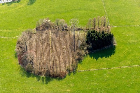 Aerial view, wooded area near Belecke-West industrial estate, Warstein, North Rhine-Westphalia,