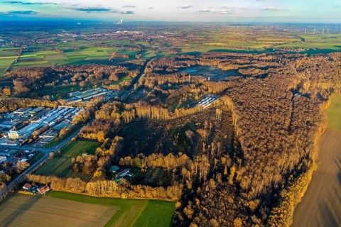 Aerial photo, Westerhaar industrial estate, TÜV NORD inspection centre Wickede Werl, forest damage,