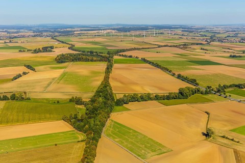 Aerial view, meadows and fields, wind turbines, Hohenwepel, Warburg, OWL, Ostwestfalen-Lippe, East