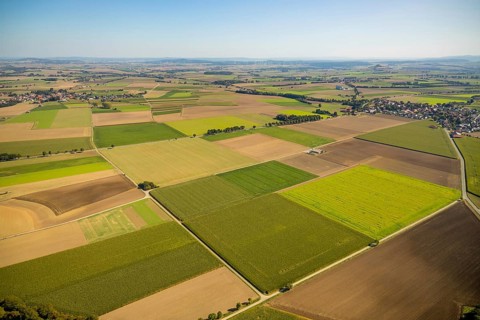 Aerial view, meadows and fields, Hohenwepel, Warburg, OWL, Ostwestfalen-Lippe, East Westphalia,