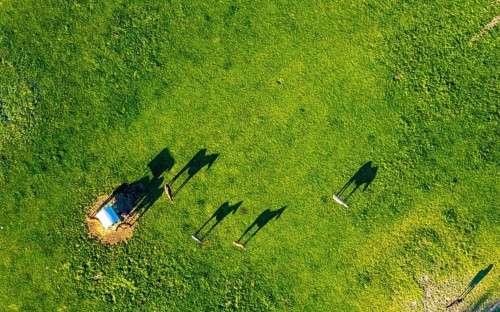 Aerial view, horses and feeding place on a green meadow, riding facility Stapelskotten, shapes and