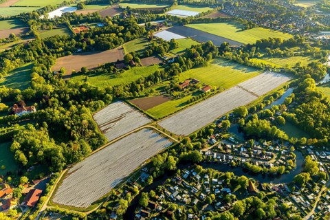 Aerial view, asparagus fields, asparagus cultivation, Südmühlenweg, Kamillusweg, river Werse,