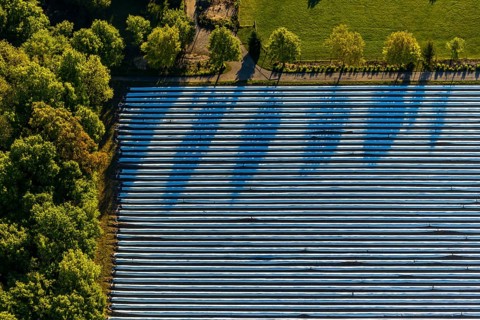 Aerial view, asparagus fields, asparagus cultivation, Südmühlenweg, Kamillusweg, Münster,