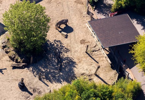 Aerial view, all-weather zoo Münster, elephant house, elephants, open-air grounds, Münster,