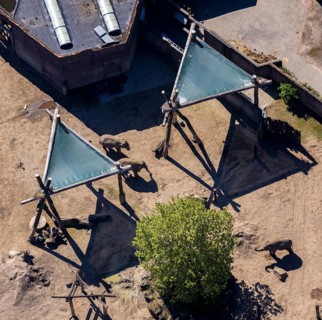 Aerial view, all-weather zoo Münster, elephant house, elephants, open-air grounds, Münster,