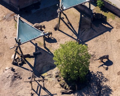 Aerial view, all-weather zoo Münster, elephant house, elephants, open-air grounds, Münster,