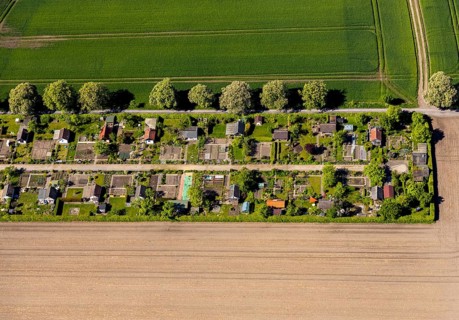 Aerial view, allotment garden site Uhlenhorst, Münster, Münsterland, North Rhine-Westphalia,