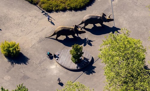 Aerial view, Allwetterzoo Münster, LWL-Museum für Naturkunde mit Planetarium, Triceratops,