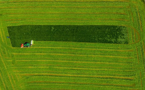Aerial view, tractor mowing meadow, Münster, Münsterland, North Rhine-Westphalia, Germany, DE,