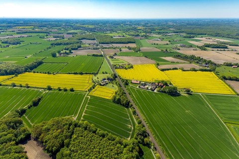 Aerial view, LWW Schweinemast KG Landwirtschaftsbetrieb, Hof Große Wöstmann Christmas trees,