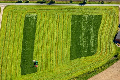 Aerial view, tractor mowing meadow, Münster, Münsterland, North Rhine-Westphalia, Germany, DE,
