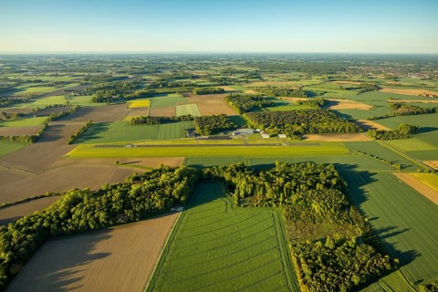 Aerial photo, Münster-Telgte airfield, Telgte, Warendorf district, Münsterland, North