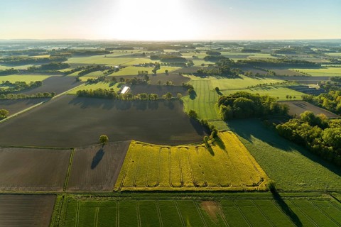 Aerial photo, Münster-Telgte airfield, Telgte, Warendorf district, Münsterland, North