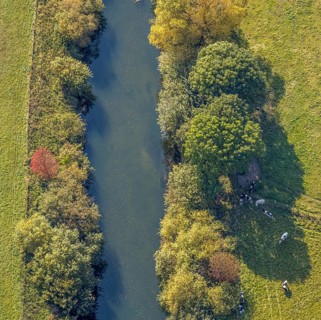 Aerial view, Lippe floodplains, river Lippe, Herzfeld, Lippetal, district Soest, North
