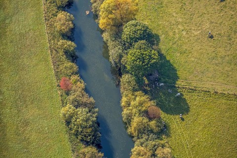 Aerial view, Lippe floodplains, river Lippe, Herzfeld, Lippetal, district Soest, North