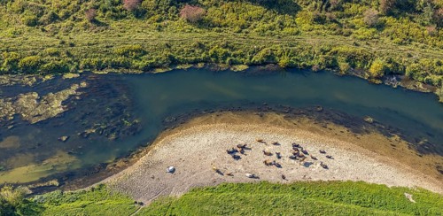 Aerial view, nature reserve Lippeaue, river Lippe, Benninghausen, Lippstadt, district Soest, North