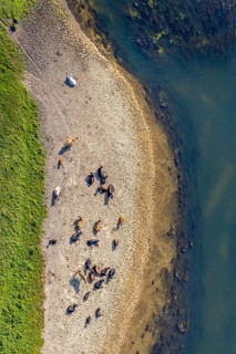 Aerial view, nature reserve Lippeaue, river Lippe, Benninghausen, Lippstadt, district Soest, North