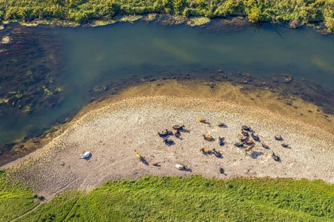 Aerial view, nature reserve Lippeaue, river Lippe, Benninghausen, Lippstadt, district Soest, North