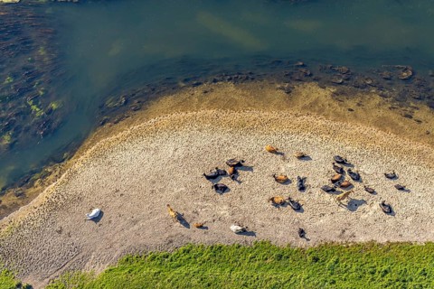 Aerial view, nature reserve Lippeaue, river Lippe, Benninghausen, Lippstadt, district Soest, North