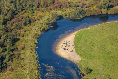Aerial view, nature reserve Lippeaue, river Lippe, Benninghausen, Lippstadt, district Soest, North