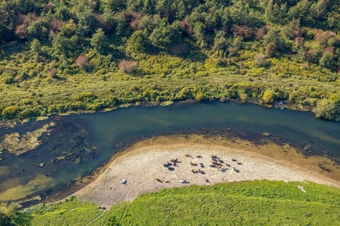 Aerial view, nature reserve Lippeaue, river Lippe, Benninghausen, Lippstadt, district Soest, North