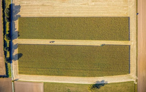 Aerial view, meadows and fields, harvest time, Herzfeld, Lippetal, Kreis Soest, North