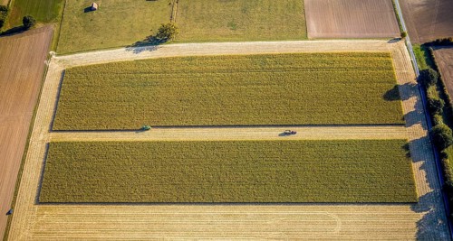 Aerial view, meadows and fields, harvest time, Herzfeld, Lippetal, Kreis Soest, North