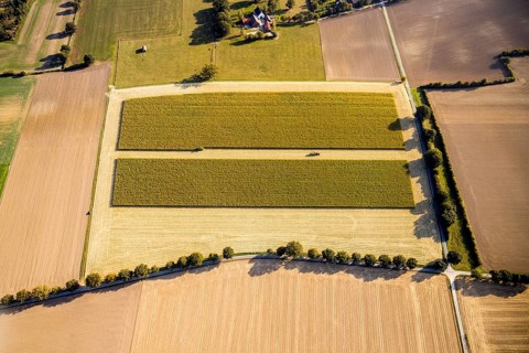 Aerial view, meadows and fields, harvest time, Herzfeld, Lippetal, Kreis Soest, North