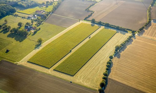 Aerial view, meadows and fields, harvest time, Herzfeld, Lippetal, Kreis Soest, North
