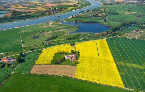 Aerial view, river Rhine, farmstead in rape field, Reeserward, lake in nature reserve Grietherorter
