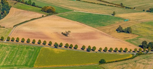Aerial photo, tree row at the roadside, Schieder-Schwalenberg, OWL, Ostwestfalen-Lippe, East