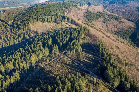 Aerial photo, forest dieback, deforestation, Fredeburg, Schmallenberg, Sauerland, North
