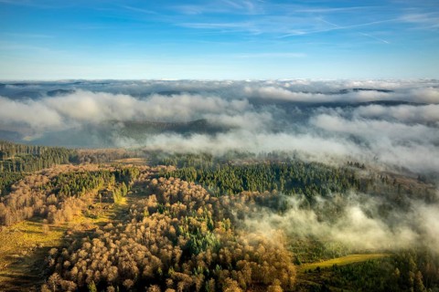 Aerial view, sea of clouds over forest area, Bödefeld, Schmallenberg, Sauerland, North