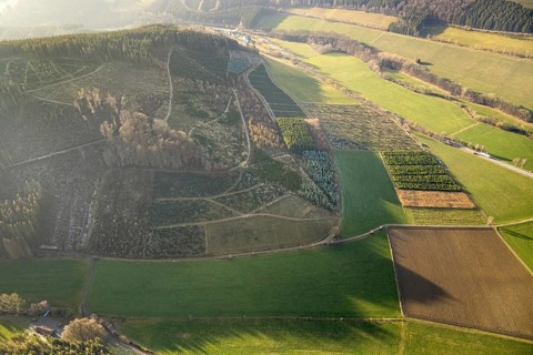 Aerial view, hilltop, forest damage, Bödefeld, Westernbödefeld, Schmallenberg, Sauerland, North
