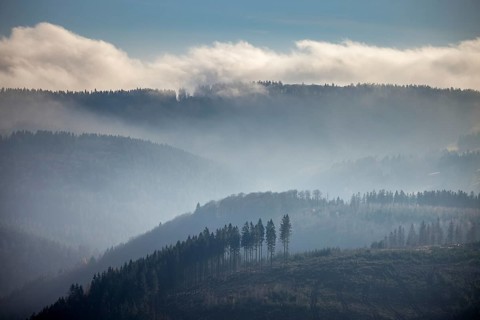 Aerial view, hilltop in fog, forest damage, Bödefeld, Schmallenberg, Sauerland, North