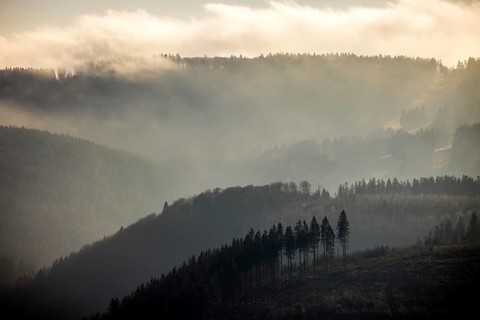Aerial view, hilltop in fog, forest damage, Bödefeld, Schmallenberg, Sauerland, North
