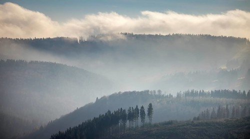Aerial view, hilltop in fog, forest damage, Bödefeld, Schmallenberg, Sauerland, North