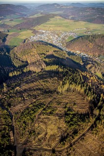 Aerial view, hilltop, forest damage, local view Bödefeld, Westernbödefeld, Schmallenberg,