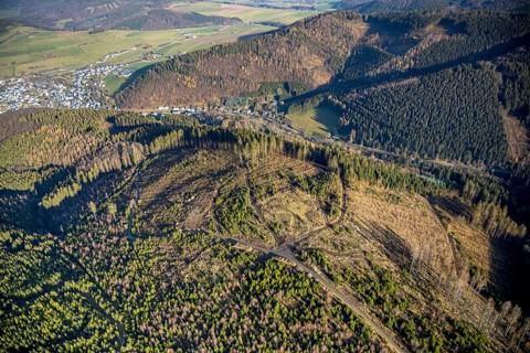 Aerial view, hilltop, forest damage, local view Bödefeld, Westernbödefeld, Schmallenberg,