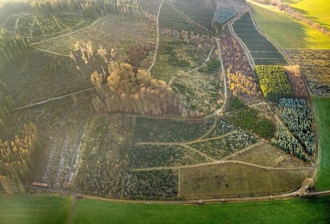 Aerial view, hilltop, forest damage, Bödefeld, Westernbödefeld, Schmallenberg, Sauerland, North